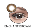 Optiano Two tone Enchanted Brown | Eyeshades.pk