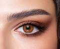 Bella Diamond Collection Diamond Oak | Eyeshades.pk