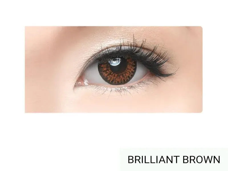 Freshkon FUSION Brilliant Brown | Eyeshades.pk