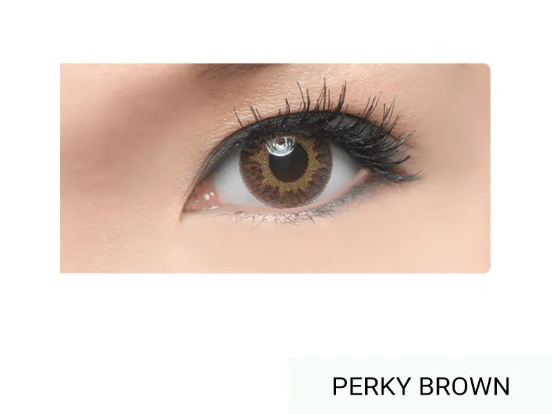 Freshkon FUSION Perky Brown | Eyeshades.pk