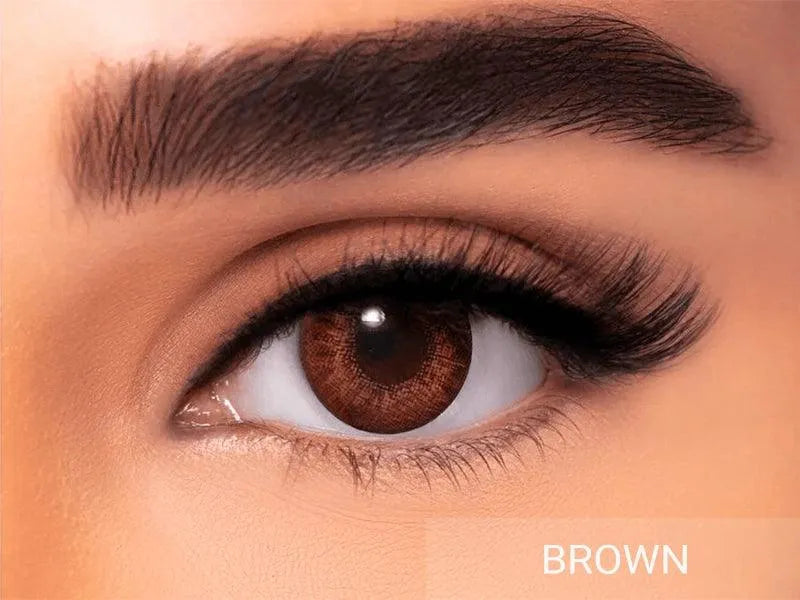 Freshlook COLORBLENDS Brown | Eyeshades.pk